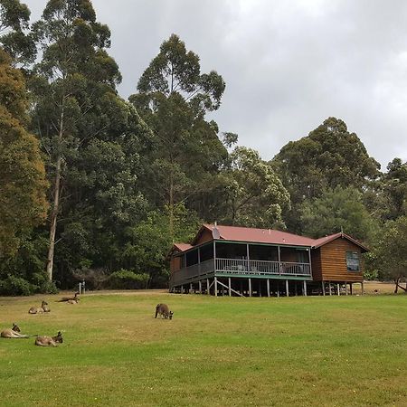 Walpole Wilderness Resort Exterior foto