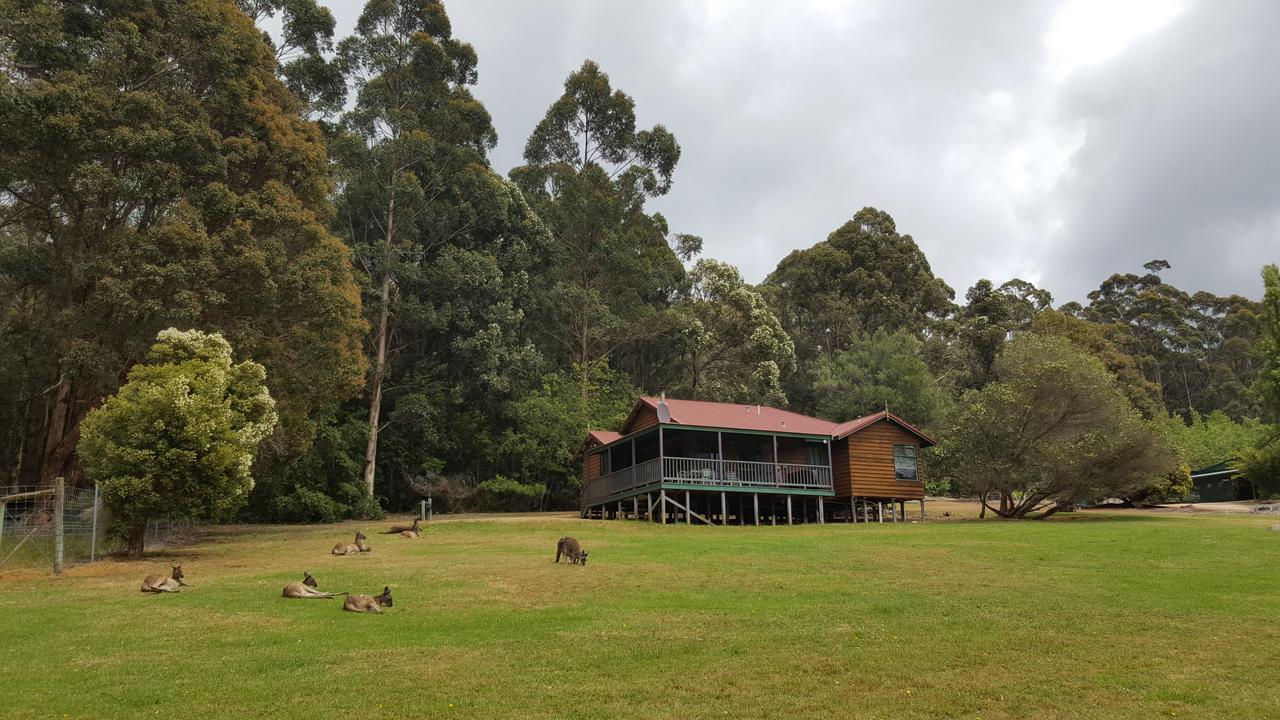 Walpole Wilderness Resort Exterior foto